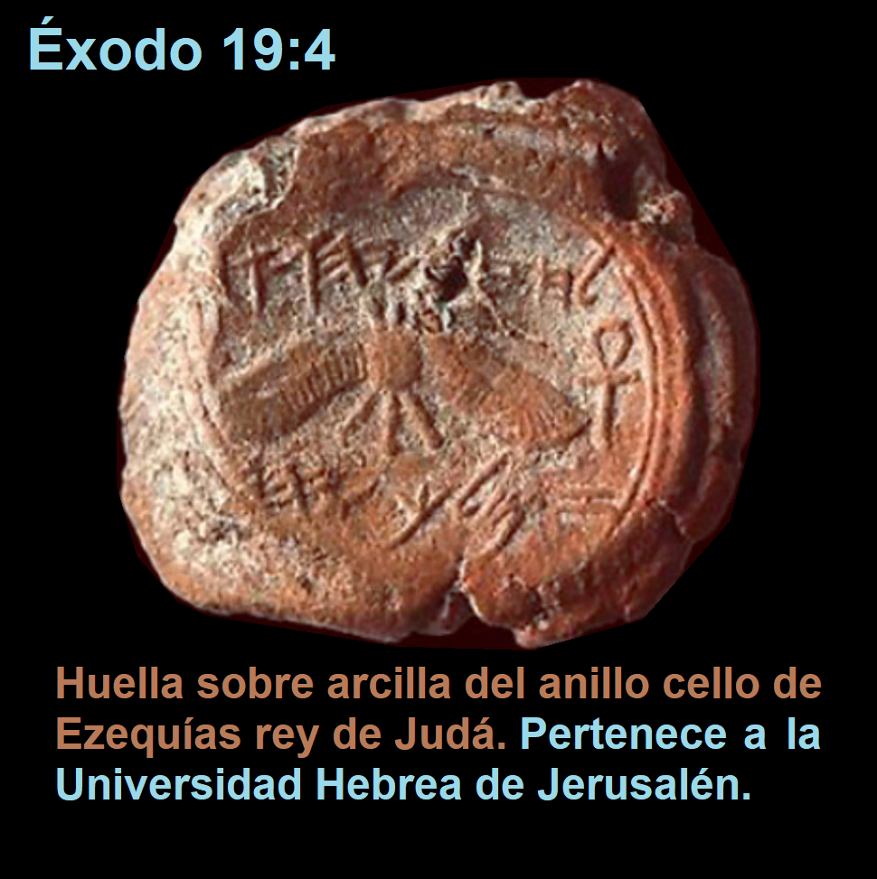 Imperio mundial de la profecia